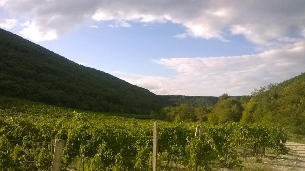 La Dame Blanche Panzió Saint-Maurice-dʼIbie Kültér fotó